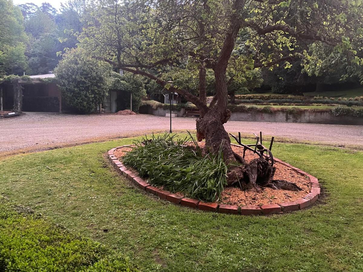 The Mulberry Lodge The Patch