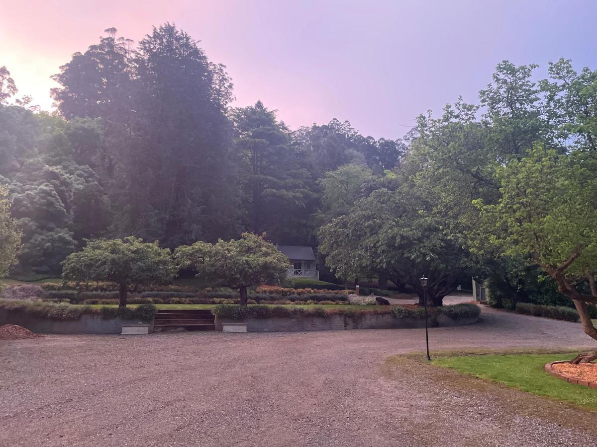 The Mulberry Lodge